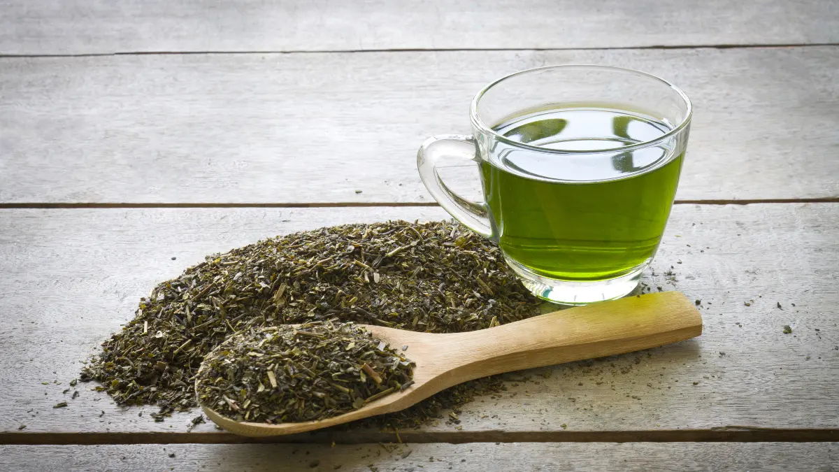 Green Tea Extract