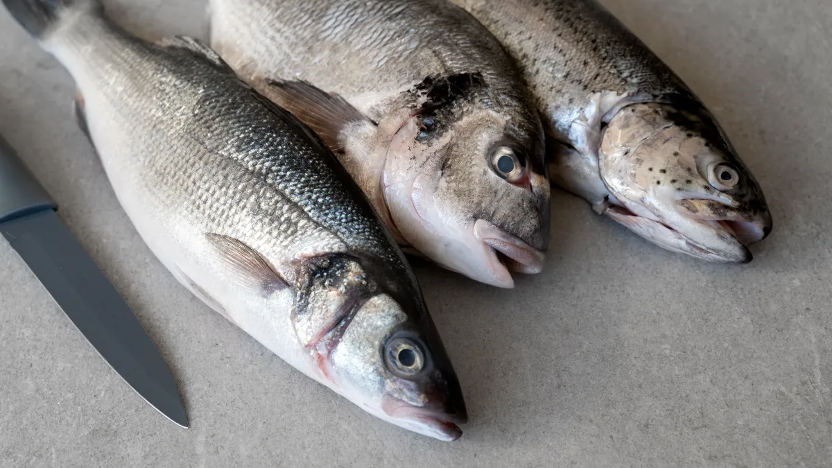 Large, Farmed Fish (Tuna, Swordfish, Farmed Salmon)