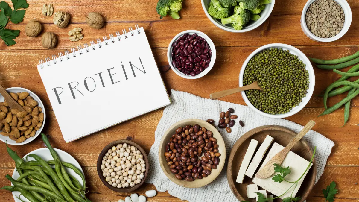 Power of Protein and Fiber