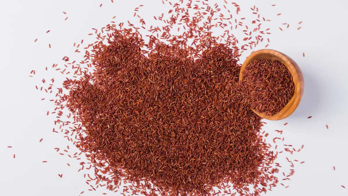 Red Yeast Rice