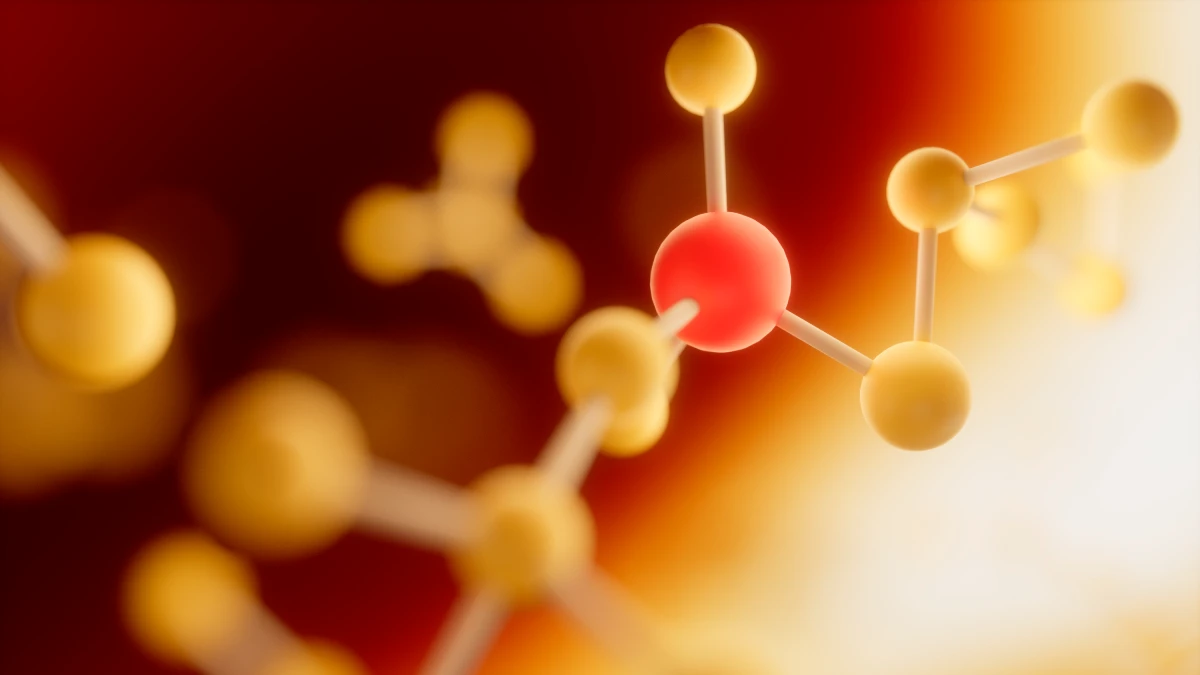 The Fat-Storage Hormone