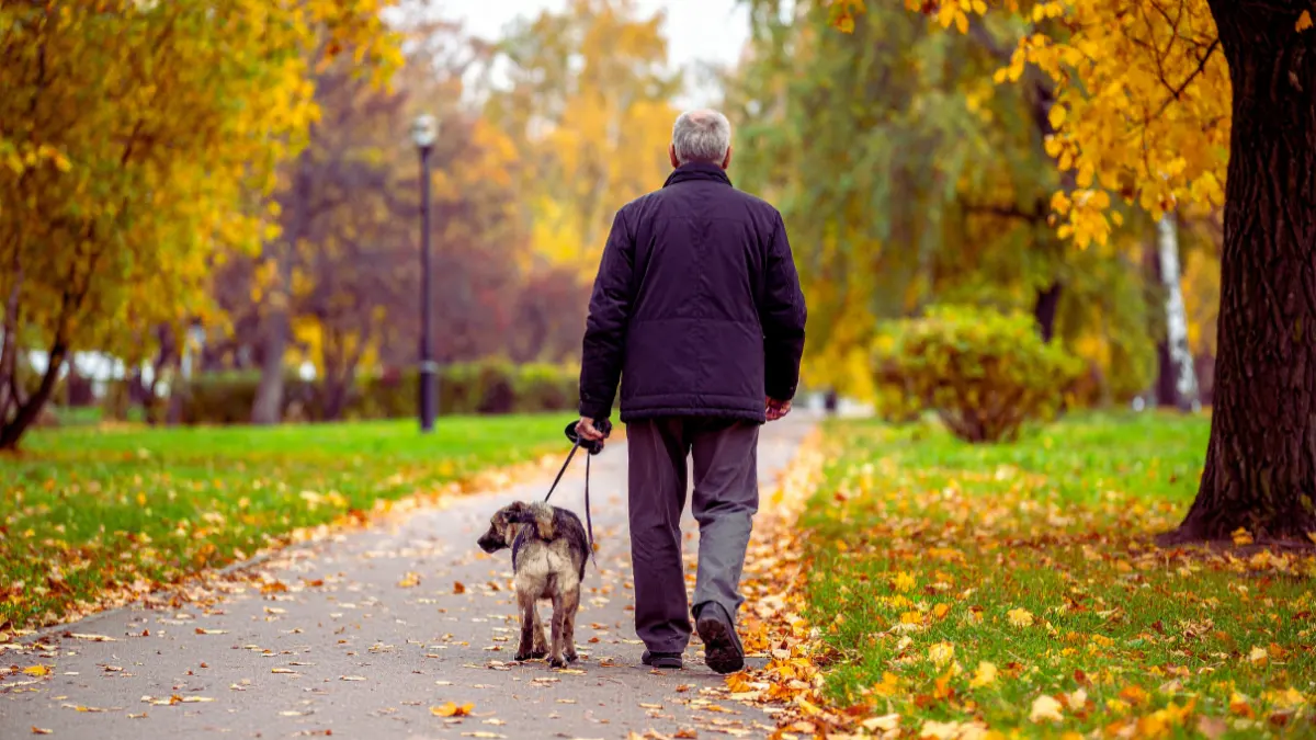 The Power of Walking: Your Secret Weapon