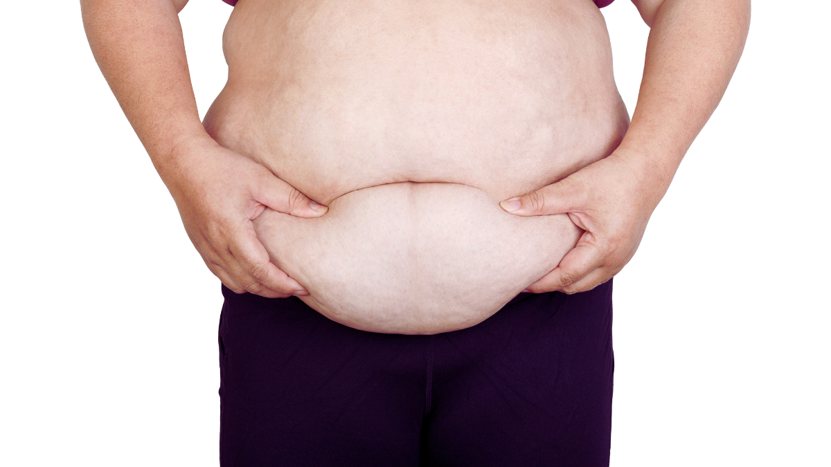Your Circadian Clock Controls Fat Metabolism