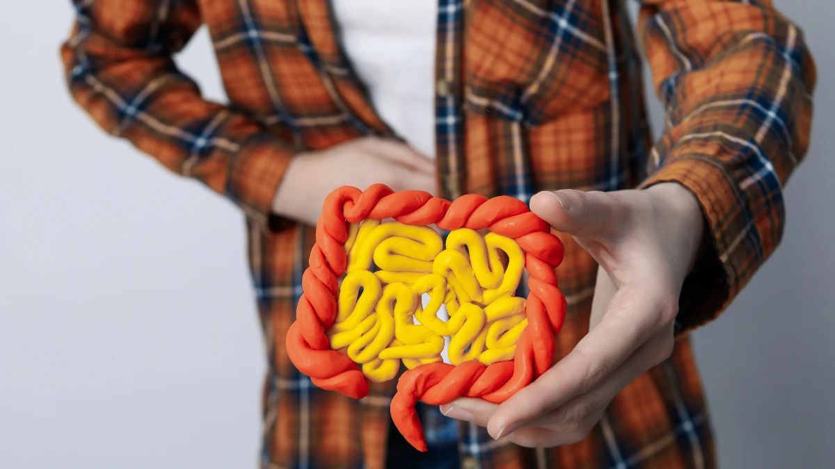 Your Gut Bacteria Matter