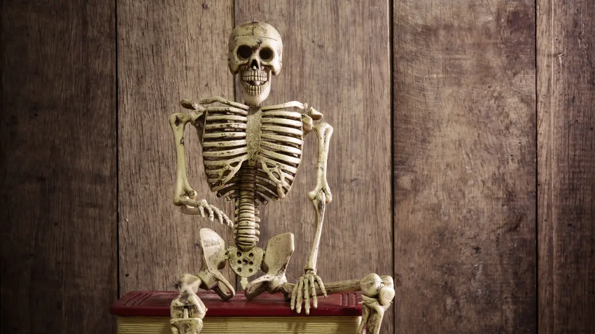 Your Strongest Skeleton Starts Now