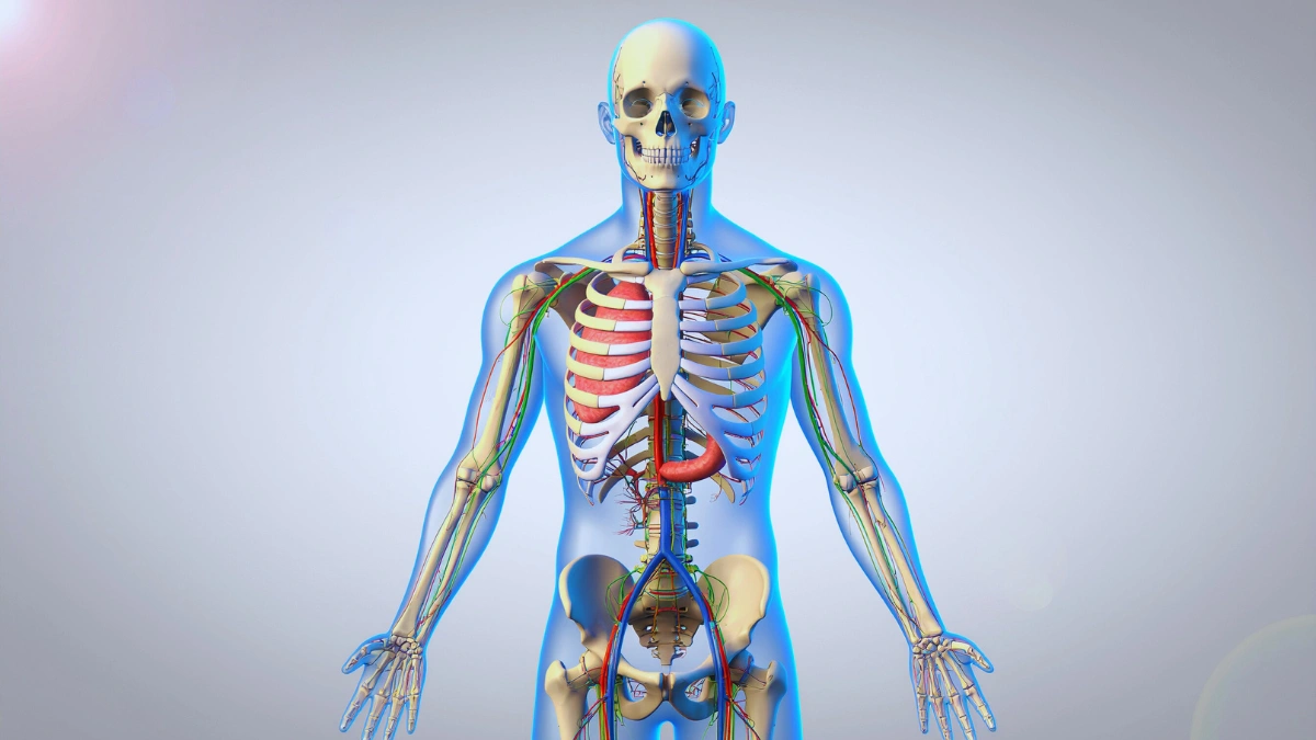 Activates Your Body's Natural Defense Systems