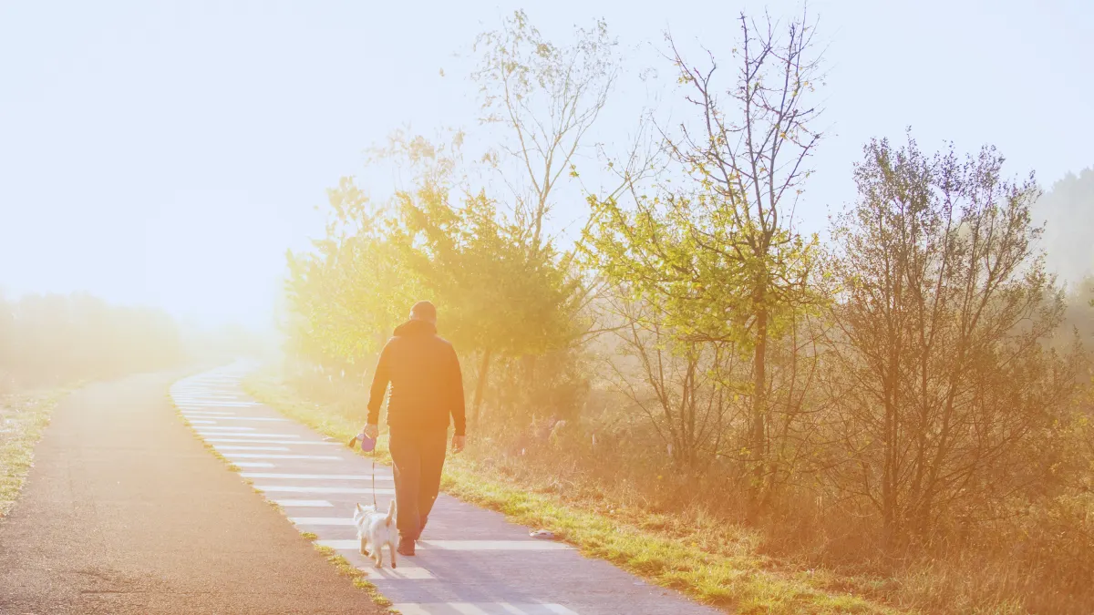 When to Walk (Timing That Works)