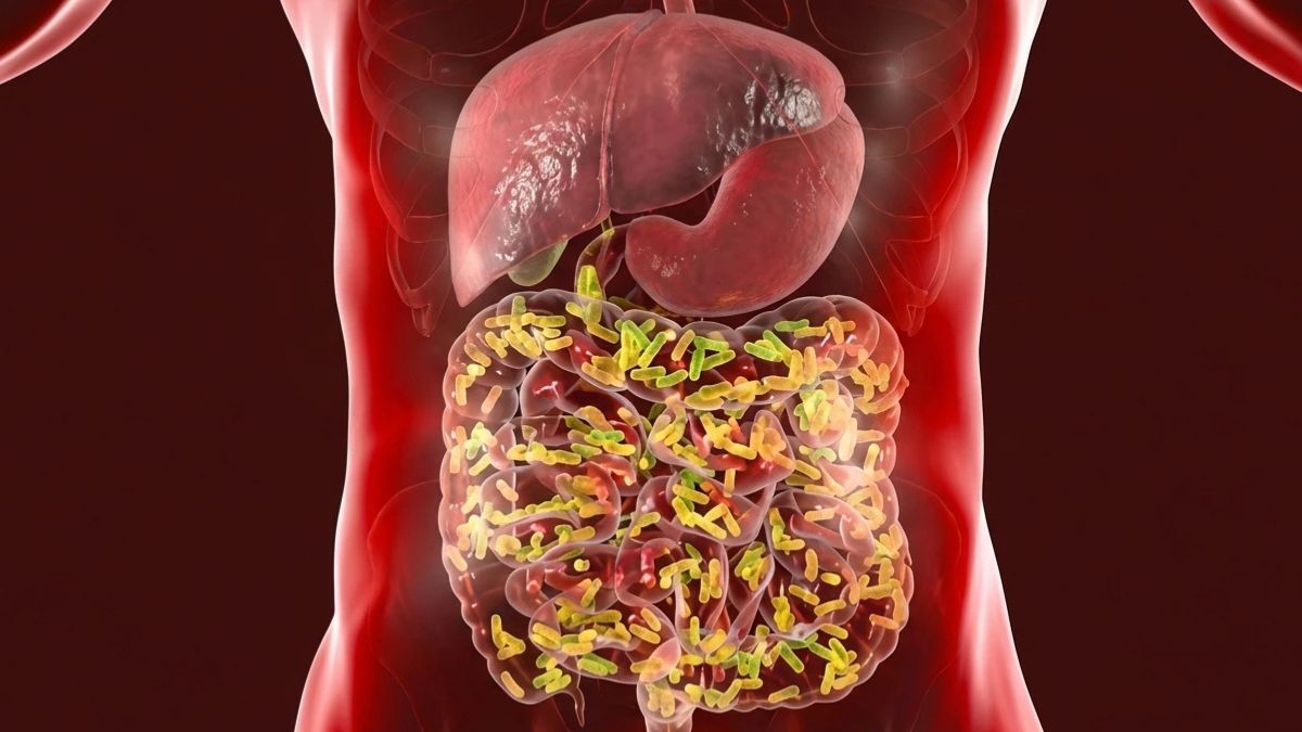 Your Gut is Your Second Brain — Here’s How to Feed It for Better Mental Health (Probiotics, Prebiotics, and Science)