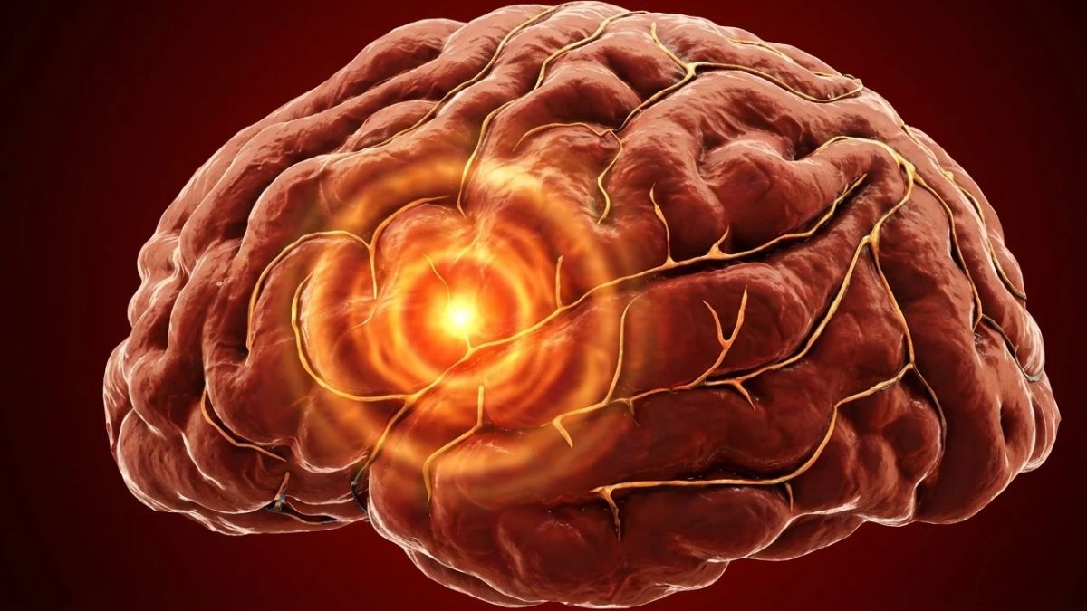 12 Habits That Boost Brain Sharpness After 50 — And 5 That Dull It, According To Neurologists