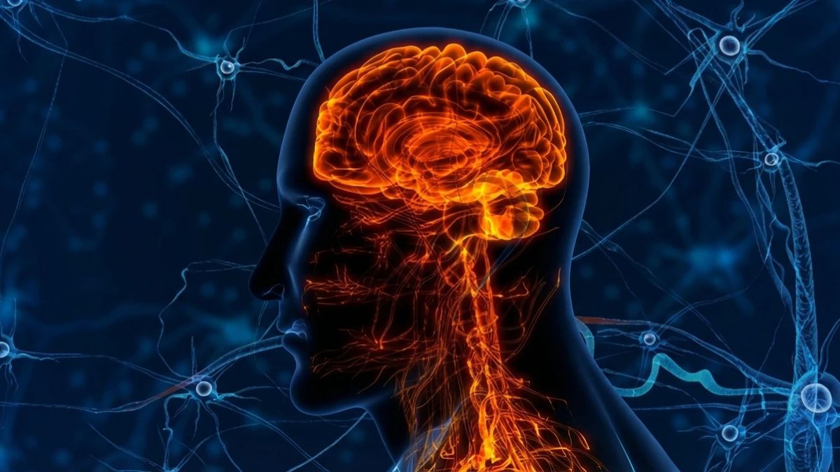 Forget Brain Supplements 7 ‘Neurofoods’ That Rewire Your Mind For Laser Focus – The Secret Silicon Valley CEOs Swear By