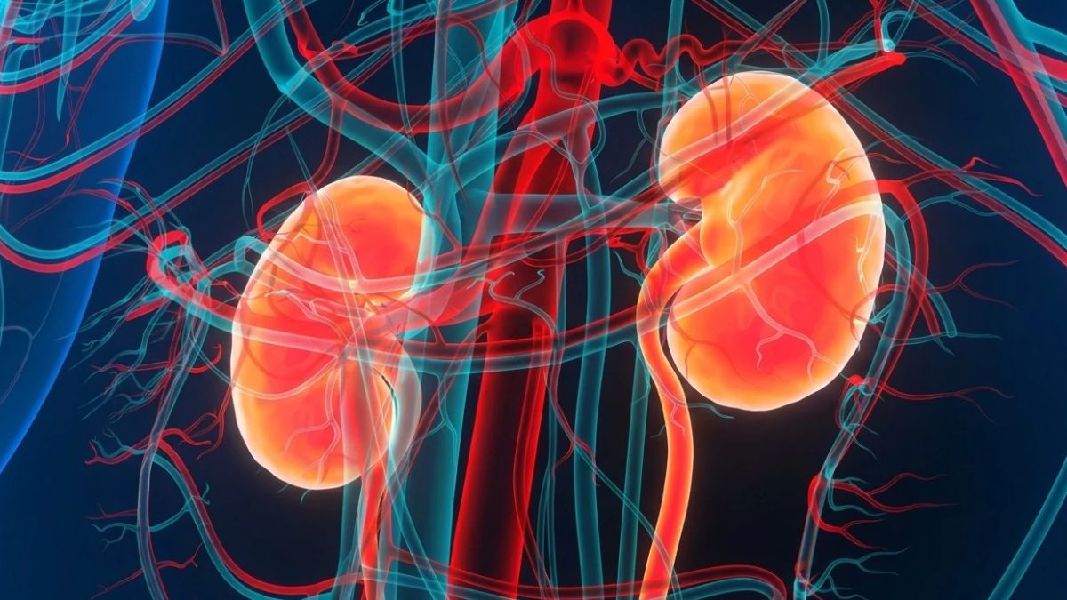 13 Silent Symptoms of Kidney Failure That 90% of People Mistake for Normal Tiredness