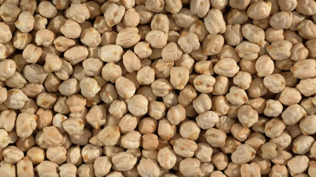 Legumes (Lentils and Chickpeas)