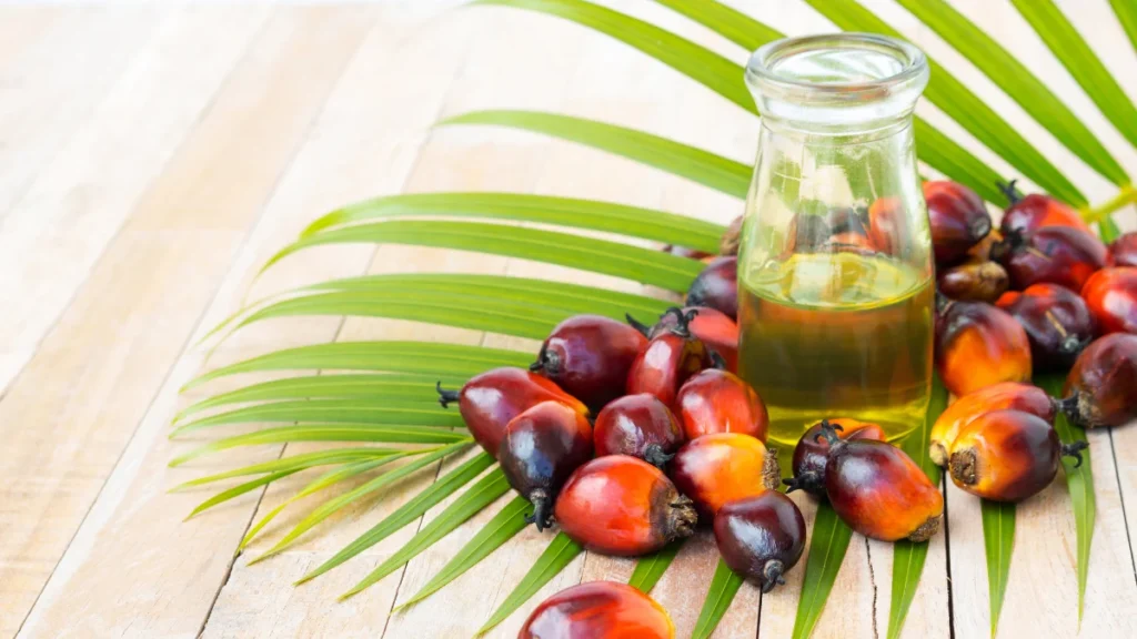 Palm Oil