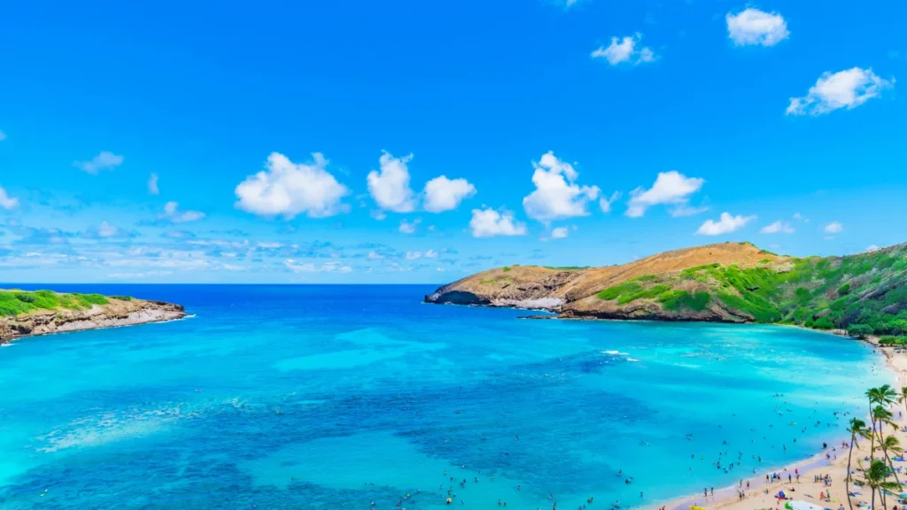 The Hawaii Advantage: Why This State Wins Every Year