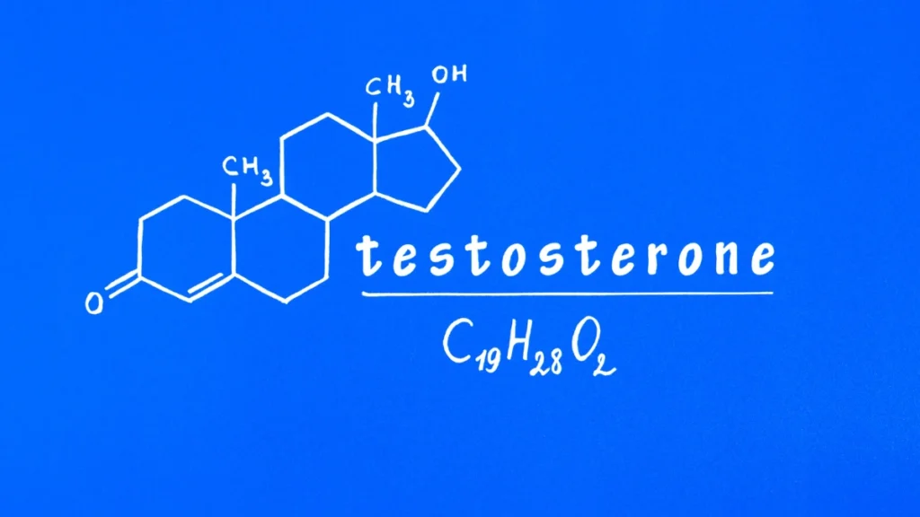 Optimize Testosterone
