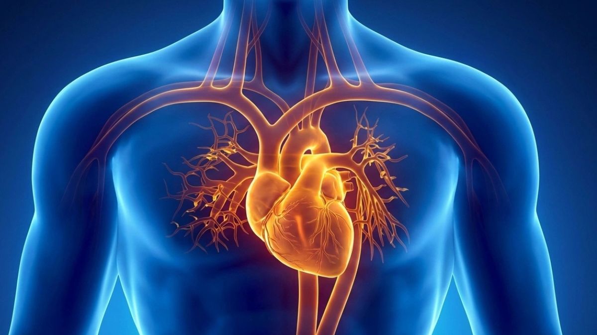 7 Cooking Oils Silently Clogging Arteries in Adults Over 45—Doctors Say Stop Immediately