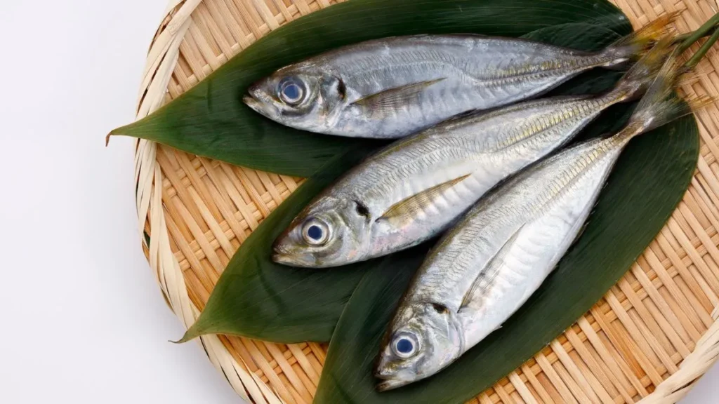 Sardines